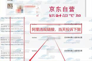 从2013搭档苏博蒂奇到2024施洛特贝克！不变的是胡梅尔斯？